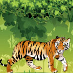 Coloração Do Tigre Irritado