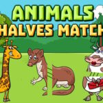 Jogo Das Metades Dos Animais