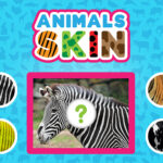 Pele Dos Animais