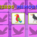 Crianças Jogo Da Memória-Aves