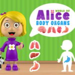 Mundo dos órgãos do corpo de Alice